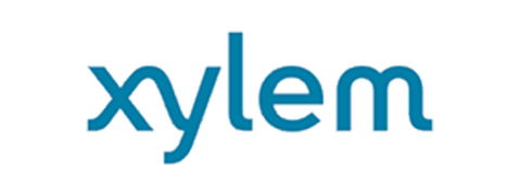 Xylem